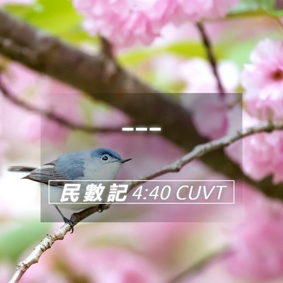 Picture 05 - 民 數 記 4:40 CUVT -  - Bible Verse Picture