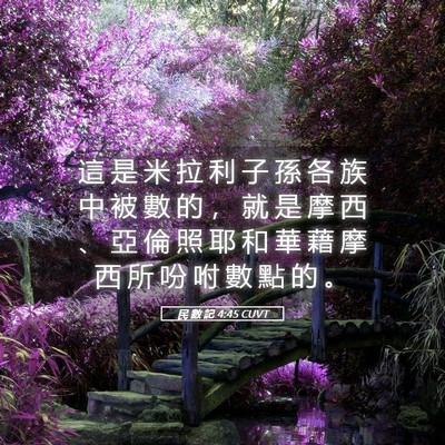 Picture 05 - 民 數 記 4:45 CUVT - 這 是 米 拉 利 子 孫 各 族 中 被 數 - Bible Verse Picture