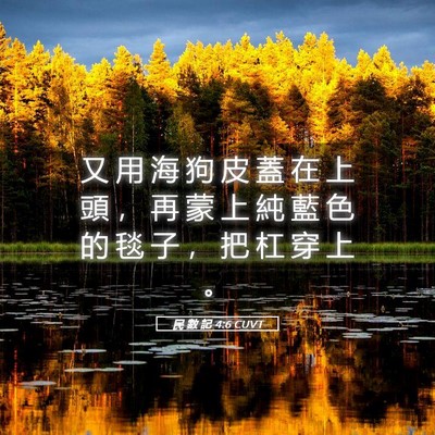 Picture 05 - 民 數 記 4:6 CUVT - 又 用 海 狗 皮 蓋 在 上 頭 ， 再 蒙 - Bible Verse Picture