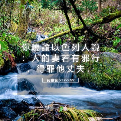 Picture 05 - 民 數 記 5:12 CUVT - 你 曉 諭 以 色 列 人 說 ： 人 的 妻 - Bible Verse Picture