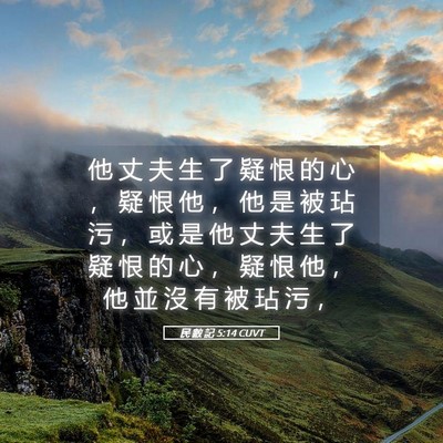 Picture 05 - 民 數 記 5:14 CUVT - 他 丈 夫 生 了 疑 恨 的 心 ， 疑 恨 - Bible Verse Picture