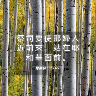 Picture 05 - 民 數 記 5:16 CUVT - 祭 司 要 使 那 婦 人 近 前 來 ， 站 - Bible Verse Picture