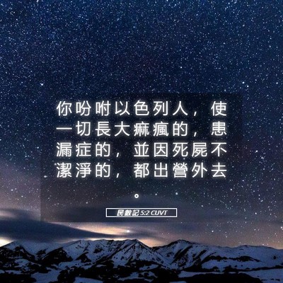 Picture 05 - 民 數 記 5:2 CUVT - 你 吩 咐 以 色 列 人 ， 使 一 切 長 - Bible Verse Picture
