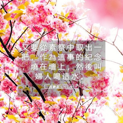 Picture 05 - 民 數 記 5:26 CUVT - 又 要 從 素 祭 中 取 出 一 把 ， 作 - Bible Verse Picture