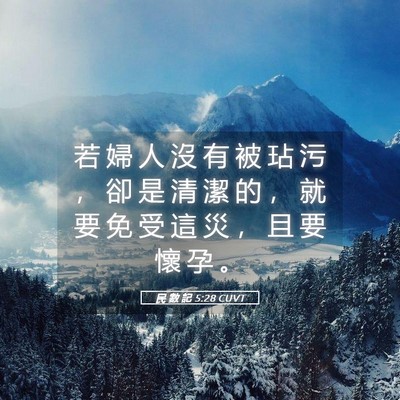 Picture 05 - 民 數 記 5:28 CUVT - 若 婦 人 沒 有 被 玷 污 ， 卻 是 清 - Bible Verse Picture