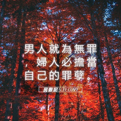 Picture 05 - 民 數 記 5:31 CUVT - 男 人 就 為 無 罪 ， 婦 人 必 擔 當 - Bible Verse Picture