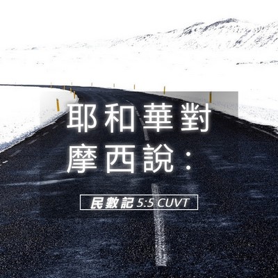 Picture 05 - 民 數 記 5:5 CUVT - 耶 和 華 對 摩 西 說 - Bible Verse Picture