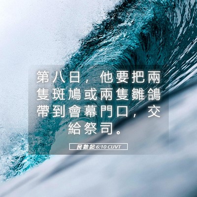 Picture 05 - 民 數 記 6:10 CUVT - 第 八 日 ， 他 要 把 兩 隻 斑 鳩 或 - Bible Verse Picture
