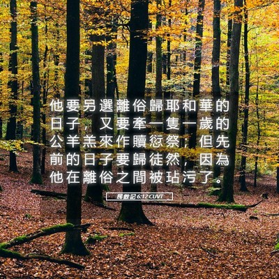 Picture 05 - 民 數 記 6:12 CUVT - 他 要 另 選 離 俗 歸 耶 和 華 的 日 - Bible Verse Picture