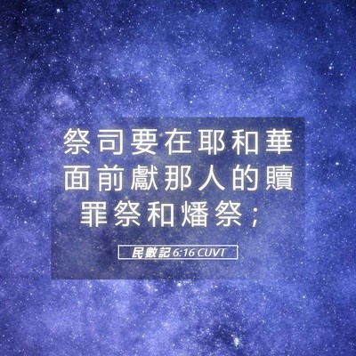 Picture 05 - 民 數 記 6:16 CUVT - 祭 司 要 在 耶 和 華 面 前 獻 那 人 - Bible Verse Picture