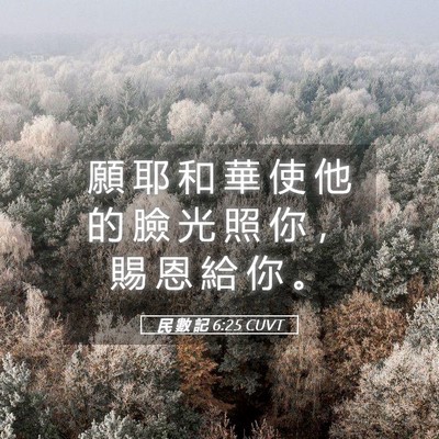 Picture 05 - 民 數 記 6:25 CUVT - 願 耶 和 華 使 他 的 臉 光 照 你 ， - Bible Verse Picture