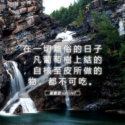 Picture 05 - 民 數 記 6:4 CUVT - 在 一 切 離 俗 的 日 子 ， 凡 葡 萄 - Bible Verse Picture