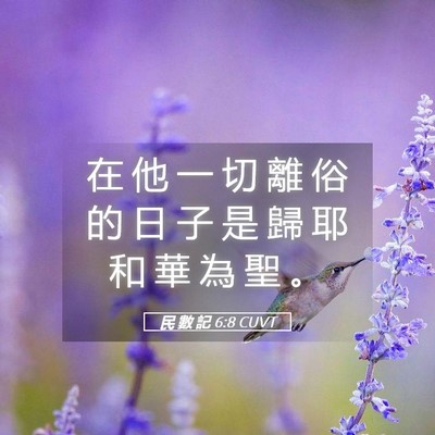 Picture 05 - 民 數 記 6:8 CUVT - 在 他 一 切 離 俗 的 日 子 是 歸 耶 - Bible Verse Picture