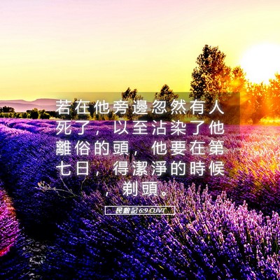 Picture 05 - 民 數 記 6:9 CUVT - 若 在 他 旁 邊 忽 然 有 人 死 了 ， - Bible Verse Picture