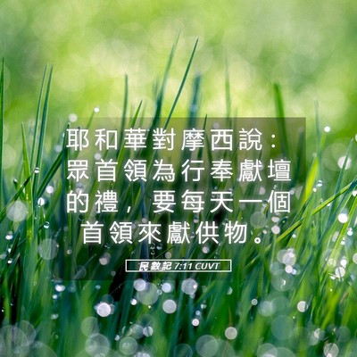 Picture 05 - 民 數 記 7:11 CUVT - 耶 和 華 對 摩 西 說 ： 眾 首 領 為 - Bible Verse Picture