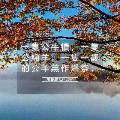 Picture 05 - 民 數 記 7:21 CUVT - 一 隻 公 牛 犢 ， 一 隻 公 綿 羊 ， - Bible Verse Picture