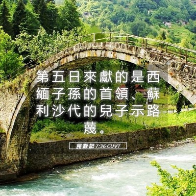 Picture 05 - 民 數 記 7:36 CUVT - 第 五 日 來 獻 的 是 西 緬 子 孫 的 - Bible Verse Picture