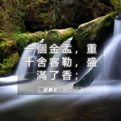 Picture 05 - 民 數 記 7:38 CUVT - 一 個 金 盂 ， 重 十 舍 客 勒 ， 盛 - Bible Verse Picture