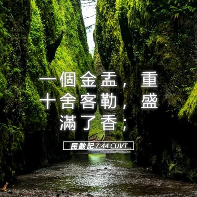 Picture 05 - 民 數 記 7:44 CUVT - 一 個 金 盂 ， 重 十 舍 客 勒 ， 盛 - Bible Verse Picture