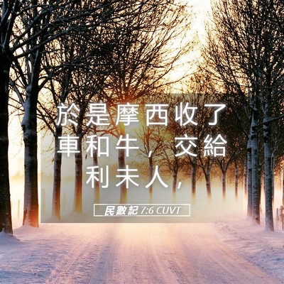 Picture 05 - 民 數 記 7:6 CUVT - 於 是 摩 西 收 了 車 和 牛 ， 交 給 - Bible Verse Picture