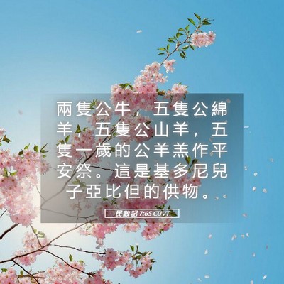 Picture 05 - 民 數 記 7:65 CUVT - 兩 隻 公 牛 ， 五 隻 公 綿 羊 ， 五 - Bible Verse Picture