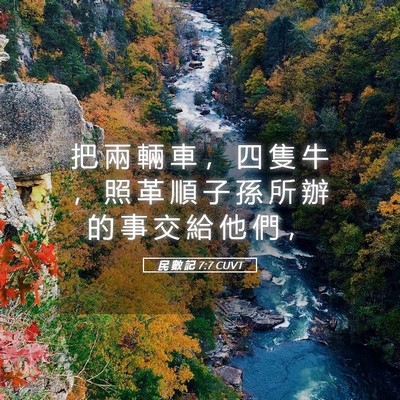 Picture 05 - 民 數 記 7:7 CUVT - 把 兩 輛 車 ， 四 隻 牛 ， 照 革 順 - Bible Verse Picture