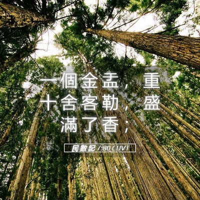 Picture 05 - 民 數 記 7:80 CUVT - 一 個 金 盂 ， 重 十 舍 客 勒 ， 盛 - Bible Verse Picture