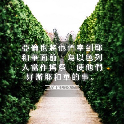 Picture 05 - 民 數 記 8:11 CUVT - 亞 倫 也 將 他 們 奉 到 耶 和 華 面 - Bible Verse Picture