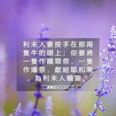 Picture 05 - 民 數 記 8:12 CUVT - 利 未 人 要 按 手 在 那 兩 隻 牛 的 - Bible Verse Picture