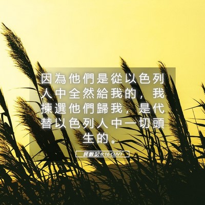 Picture 05 - 民 數 記 8:16 CUVT - 因 為 他 們 是 從 以 色 列 人 中 全 - Bible Verse Picture