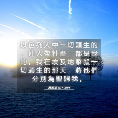 Picture 05 - 民 數 記 8:17 CUVT - 以 色 列 人 中 一 切 頭 生 的 ， 連 - Bible Verse Picture