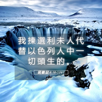 Picture 05 - 民 數 記 8:18 CUVT - 我 揀 選 利 未 人 代 替 以 色 列 人 - Bible Verse Picture