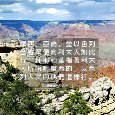 Picture 05 - 民 數 記 8:20 CUVT - 摩 西 、 亞 倫 ， 並 以 色 列 全 會 - Bible Verse Picture