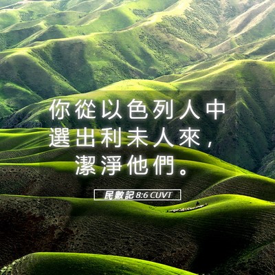 Picture 05 - 民 數 記 8:6 CUVT - 你 從 以 色 列 人 中 選 出 利 未 人 - Bible Verse Picture