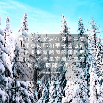 Picture 05 - 民 數 記 9:14 CUVT - 若 有 外 人 寄 居 在 你 們 中 間 ， - Bible Verse Picture