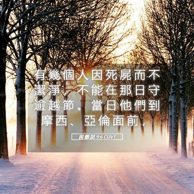 Picture 05 - 民 數 記 9:6 CUVT - 有 幾 個 人 因 死 屍 而 不 潔 淨 ， - Bible Verse Picture