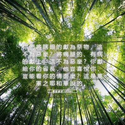 Picture 05 - 瑪 拉 基 書 1:8 CUVT - 你 們 將 瞎 眼 的 獻 為 祭 物 ， 這 - Bible Verse Picture