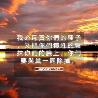 Picture 05 - 瑪 拉 基 書 2:3 CUVT - 我 必 斥 責 你 們 的 種 子 ， 又 把 - Bible Verse Picture