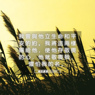 Picture 05 - 瑪 拉 基 書 2:5 CUVT - 我 曾 與 他 立 生 命 和 平 安 的 約 - Bible Verse Picture