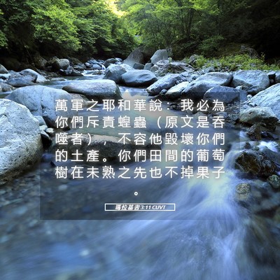 Picture 05 - 瑪 拉 基 書 3:11 CUVT - 萬 軍 之 耶 和 華 說 ： 我 必 為 你 - Bible Verse Picture