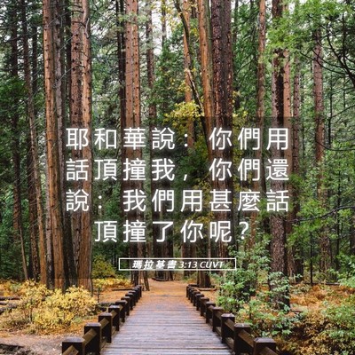 Picture 05 - 瑪 拉 基 書 3:13 CUVT - 耶 和 華 說 ： 你 們 用 話 頂 撞 我 - Bible Verse Picture