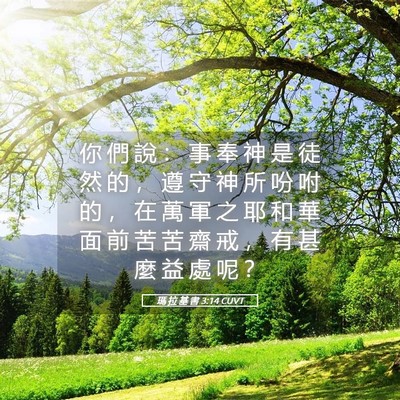 Picture 05 - 瑪 拉 基 書 3:14 CUVT - 你 們 說 ： 事 奉 神 是 徒 然 的 ， - Bible Verse Picture