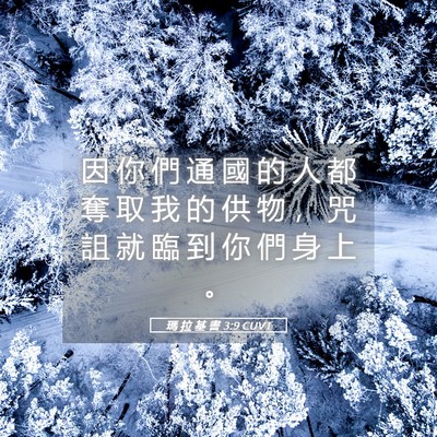 Picture 05 - 瑪 拉 基 書 3:9 CUVT - 因 你 們 通 國 的 人 都 奪 取 我 的 - Bible Verse Picture