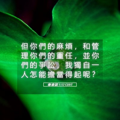 Picture 05 - 申 命 記 1:12 CUVT - 但 你 們 的 麻 煩 ， 和 管 理 你 們 - Bible Verse Picture
