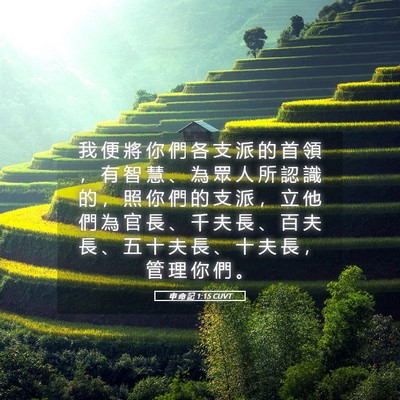 Picture 05 - 申 命 記 1:15 CUVT - 我 便 將 你 們 各 支 派 的 首 領 ， - Bible Verse Picture