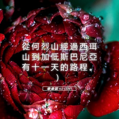 Picture 05 - 申 命 記 1:2 CUVT - 從 何 烈 山 經 過 西 珥 山 到 加 低 - Bible Verse Picture