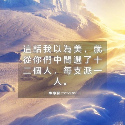 Picture 05 - 申 命 記 1:23 CUVT - 這 話 我 以 為 美 ， 就 從 你 們 中 - Bible Verse Picture