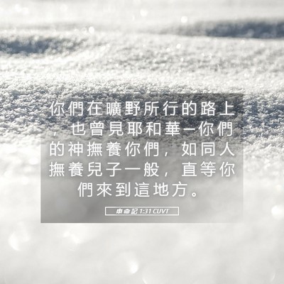Picture 05 - 申 命 記 1:31 CUVT - 你 們 在 曠 野 所 行 的 路 上 ， 也 - Bible Verse Picture