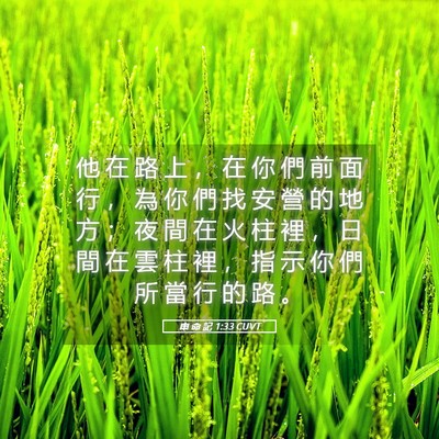Picture 05 - 申 命 記 1:33 CUVT - 他 在 路 上 ， 在 你 們 前 面 行 ， - Bible Verse Picture