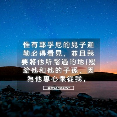 Picture 05 - 申 命 記 1:36 CUVT - 惟 有 耶 孚 尼 的 兒 子 迦 勒 必 得 - Bible Verse Picture
